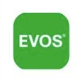 Evos